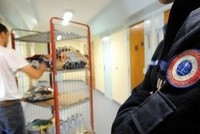 Работа в тюрьме – бег на месте