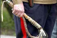 Казаки хотят взять Москву в свои руки