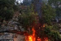 Для борьбы с пожарами в Израиле нет своей спецтехники