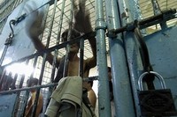 Южнокорейский заключенный подал в суд за изъятие у него порнографических фото