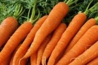 Заключенные Новой Зеландии обязаны грызть морковь