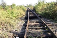 Земли ГУПов смогут изымать без суда