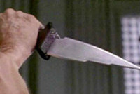 Житель Иркутска напал на детский сад в Москве