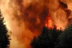 Страхование от пожаров снизит нагрузку на бюджет