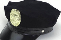 Медведев испугался полиции под новый год