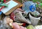 В Кирове папа и мама отказались от родительских прав на годовалого ребенка