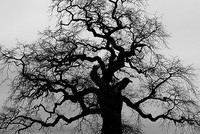 Красивый лозунг – некрасивые поступки