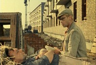 Госдума обсудит предложение МОТ о введении 4-дневной рабочей недели в России