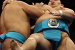 Криминальное сумо или мошенники на татами