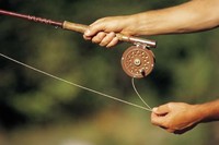 Законопроект Росрыболовства дает по 5 кг рыбы в одни руки