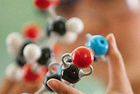 Минобнауки организует "приток мозгов" в Россию