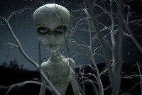 Наркоман убил прохожего, спасаясь от инопланетян