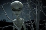 Наркоман убил прохожего, спасаясь от инопланетян