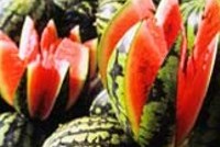 Цены, качество продуктов, правила торговли