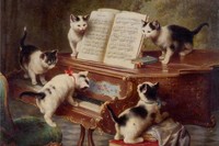 В Петербурге могут начать штрафовать за топот котов