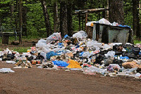 Прокуратура Москвы открыла экологическую горячую линию