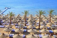 В Шарм-эль-Шейхе появятся новые жертвы акул?