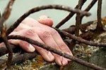 Оперативник проворонил арестанта в туалете