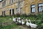 Ростуризм рассмотрит предложение ввести выездной сбор для россиян