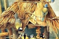 Американку из Санта-Барбары будут судить за коллекционирование птиц