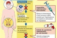Химическая кастрация дала педофилу свободу