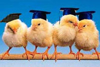 Студент устроил яичную атаку на Фурсенко