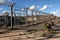 Вакансия палача в Зимбабве закрыта