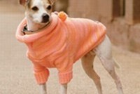 Госдума запрещает бои и разрешает эвтаназию животных