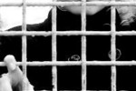 Иранскую актрису наказали плетью за критику власти