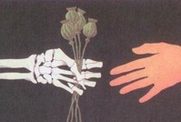 В 2012г. липецкие медики не заметили наркозависимых подростков