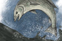 Советник главы Росрыболовства Виктор Ващило не признал себя сотрудником ФСБ, сославшись на Конституцию