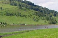 Казино превратятся в клубы по спортивному покеру