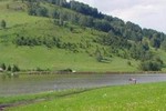 Казино превратятся в клубы по спортивному покеру