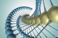 Медведев введет налоговые льготы для наноисследователей