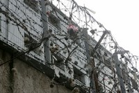 В Латвии выявлены случаи использования бесплатного труда заключенных