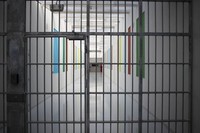 Литва перенимает опыт пенитенциарной системы Норвегии