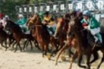 Тотализаторы нужны государственным ипподромам