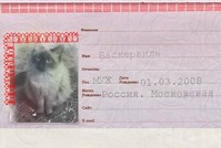 Для входа в соцсеть придется показать паспорт