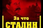 Историку-сталинисту сломали нос