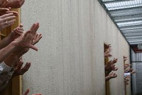 90 заключенных не захотели участвовать в массовом побеге