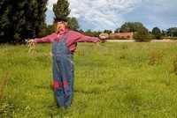В Британии принято на работу Пугало огородное