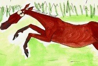 Хозяин «Хромой лошади» доскакал до суда