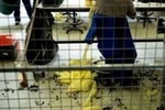 Здоровье и работа: проблемные точки тюремной жизни