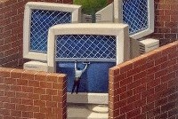 В России появились кибердружины и интернет-спецназ