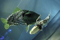 Российская армия возьмет на вооружение рыбу-робота