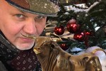КРАДУЩИЙСЯ ТИГР, УХОДЯЩИЙ БЫК