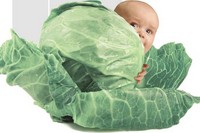 Младенцам от суррогатных матерей Барнаульская епархия отказывает в крещении