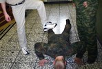 Избитый в волгоградской части солдат, отсудил 15 тысяч евро в ЕСПЧ