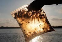 Компания BP не будет платить за разлив нефти