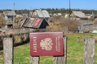 Иркутский квест: ангарские садоводства на усольской земле